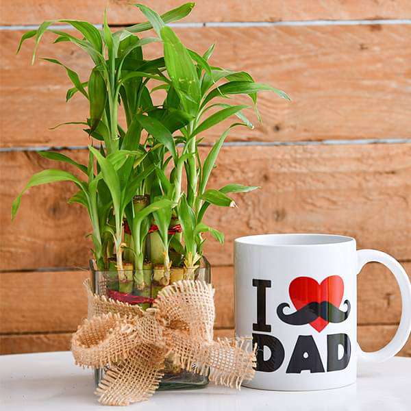 2 Layer Lucky Bamboo with I Love Dad Mug