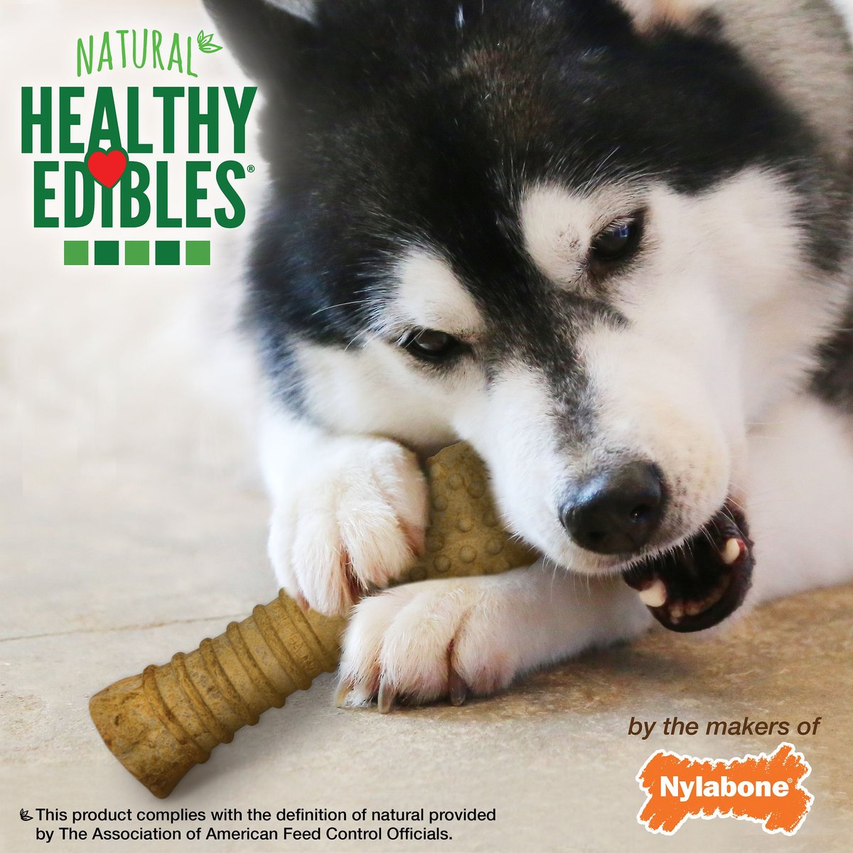 Nylabone Healthy Edibles All-Natural Long Lasting Peanut Butter Flavor Dog Chew Treats， 1 count， X-Large/Souper