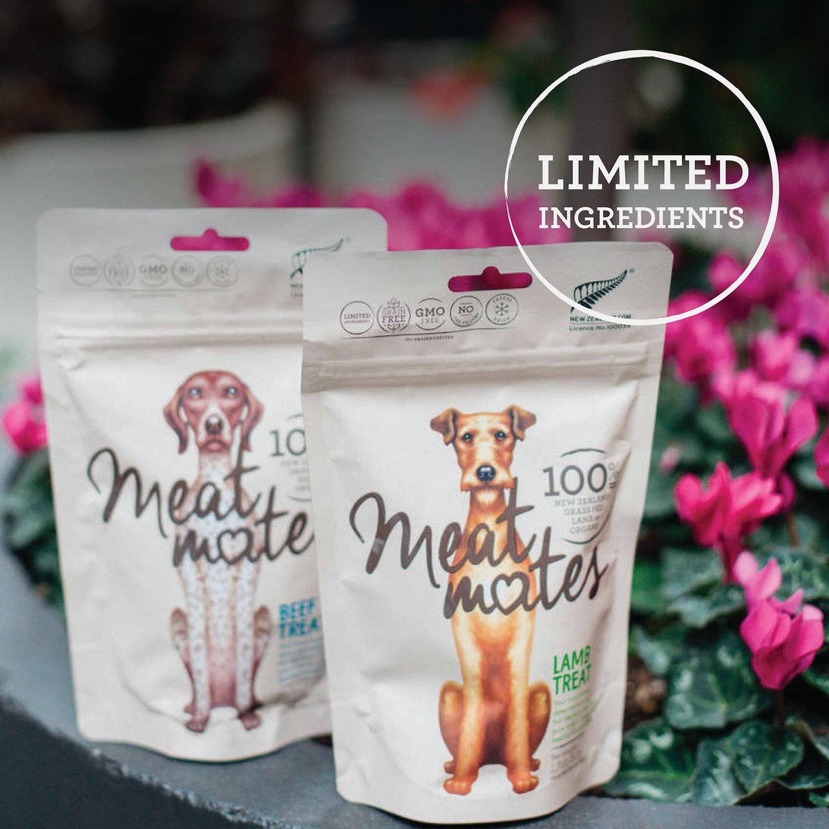 Meat Mates Beef Freeze-Dried Raw Dog Treats