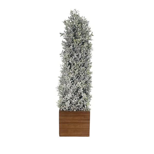 Topiary Snowy Boxwood Cone in Square Planter