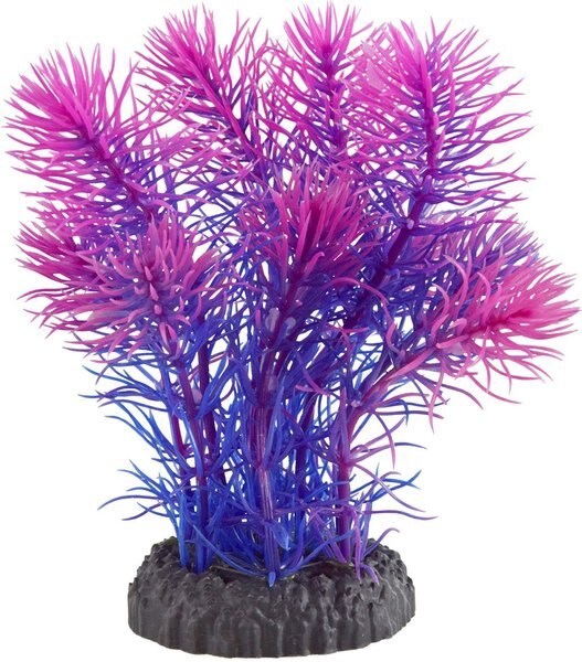 Underwater Treasures Magenta Cabomba Fish Ornament