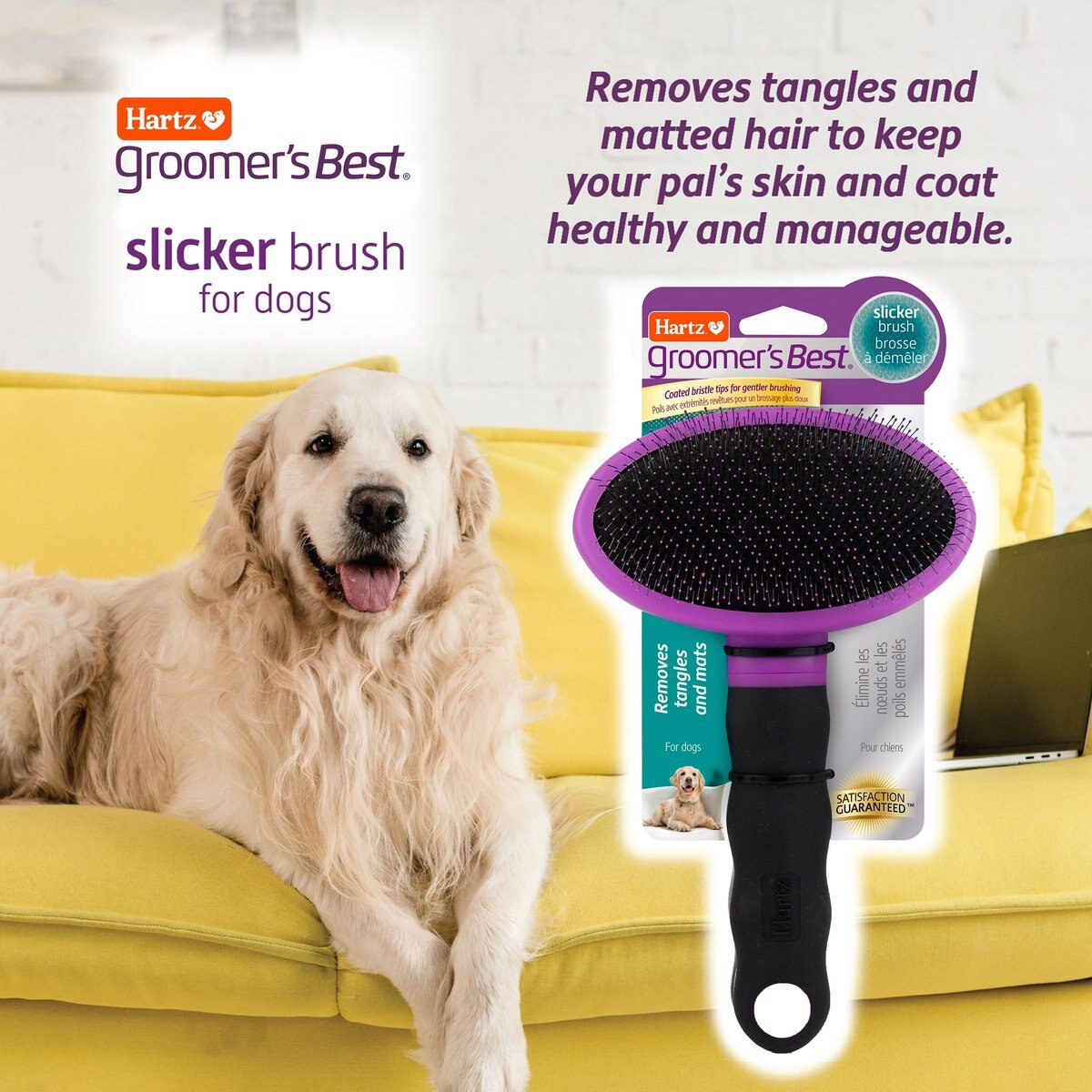 Hartz Groomer's Best Slicker Dog Brush