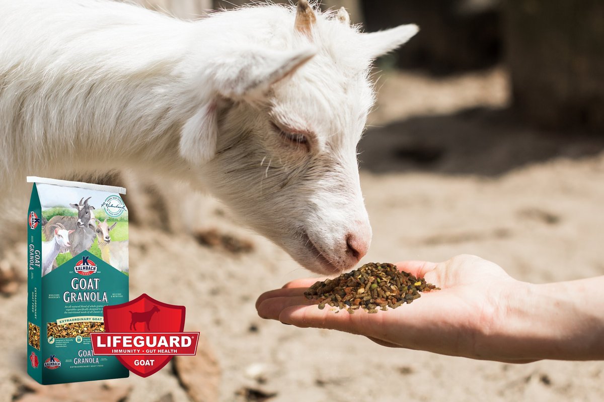 Kalmbach Feeds Granola Goat Food， 30-lb bag