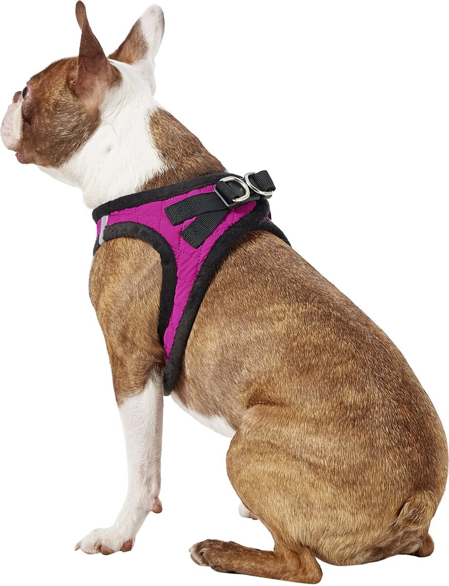 Best Pet Supplies Voyager Padded Fleece Dog Harness