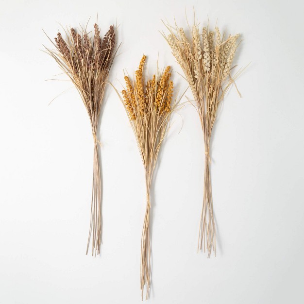 41 quot h Sullivans Dried Wheat Bush Set Of 3 Multicolored