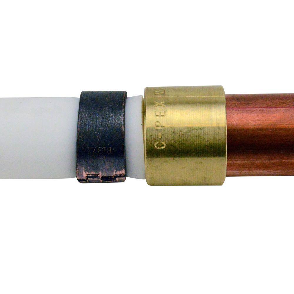 Apollo 12 in. Brass PEX-B Barb x 12 in. Female Copper Sweat Adapter APXFS1212