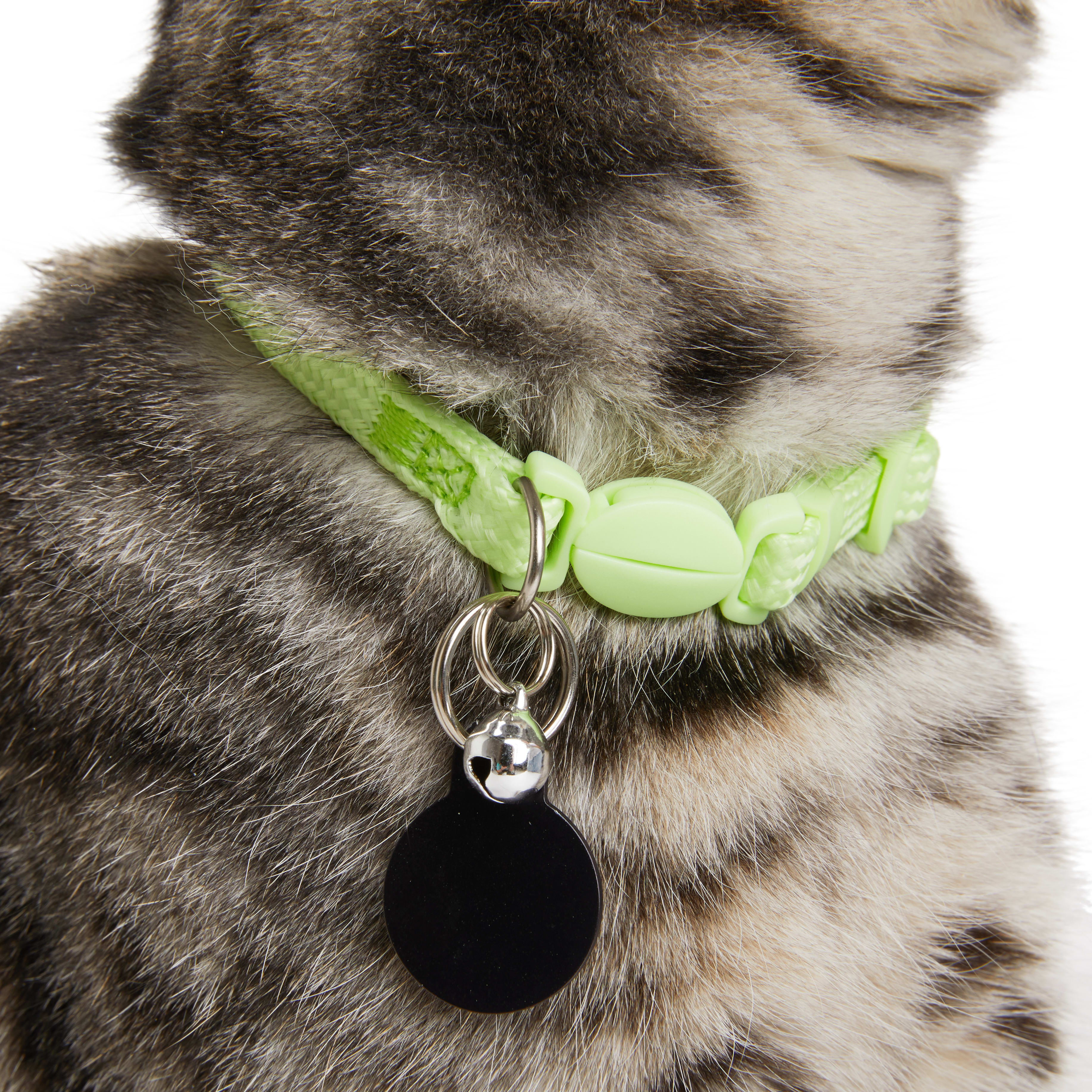 YOULY Green Glow in the Dark Kitten Collar