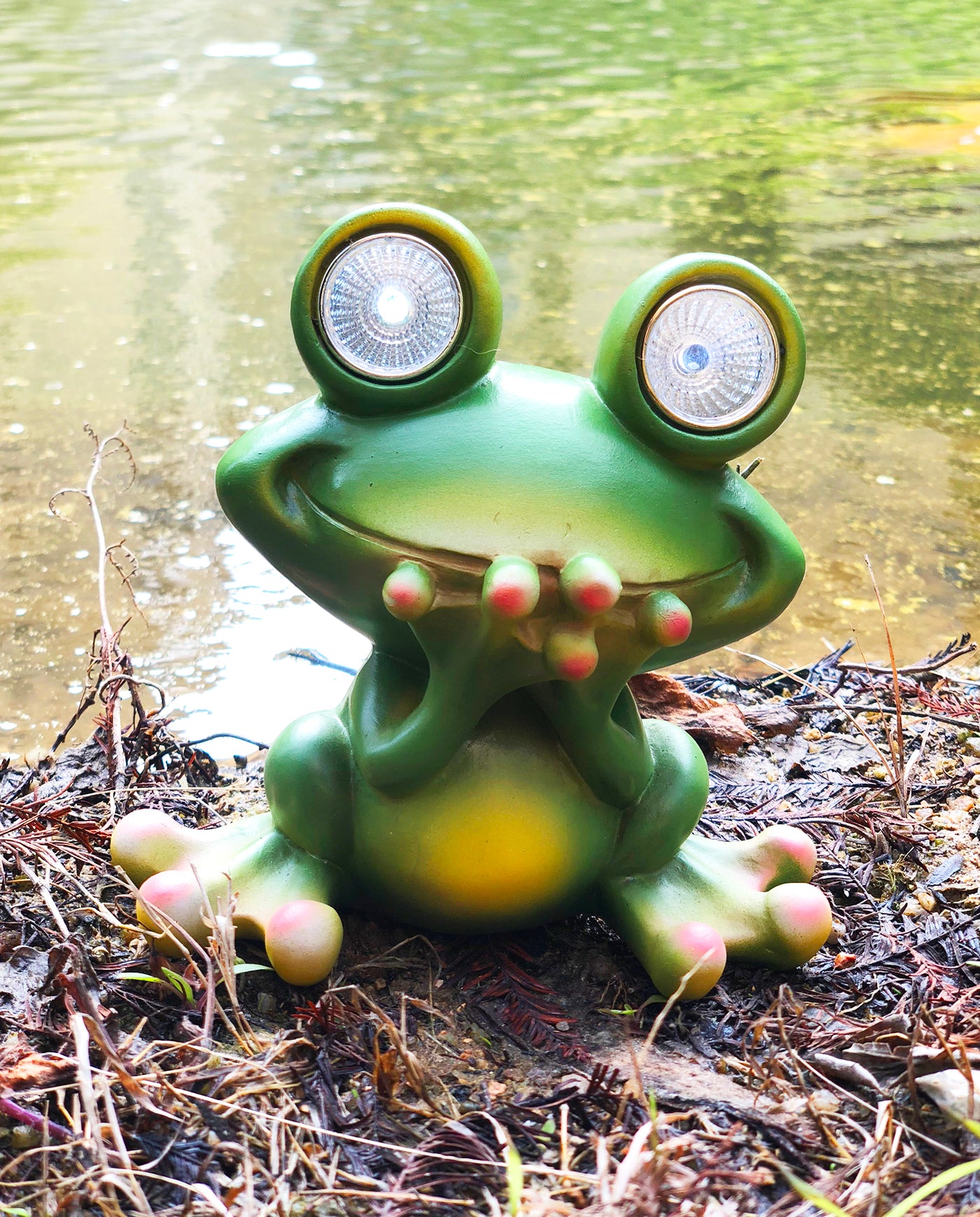 Solar Powered Frog Outdoor LED Garden Light Decor (SPEAK - NO)