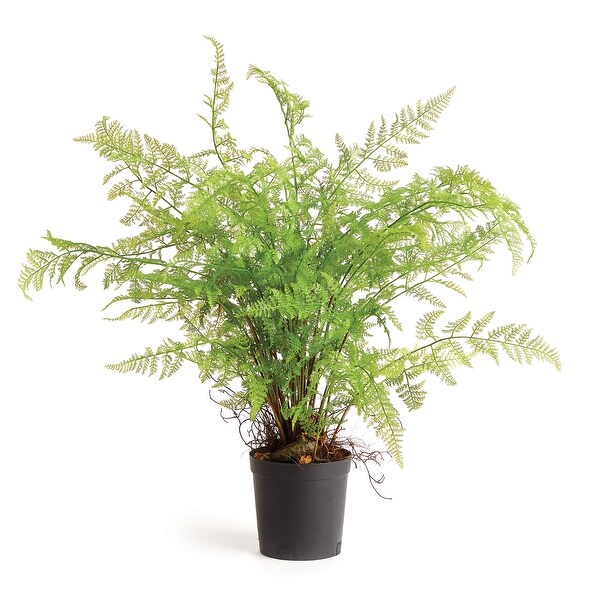 Soft Fern DropIn 36