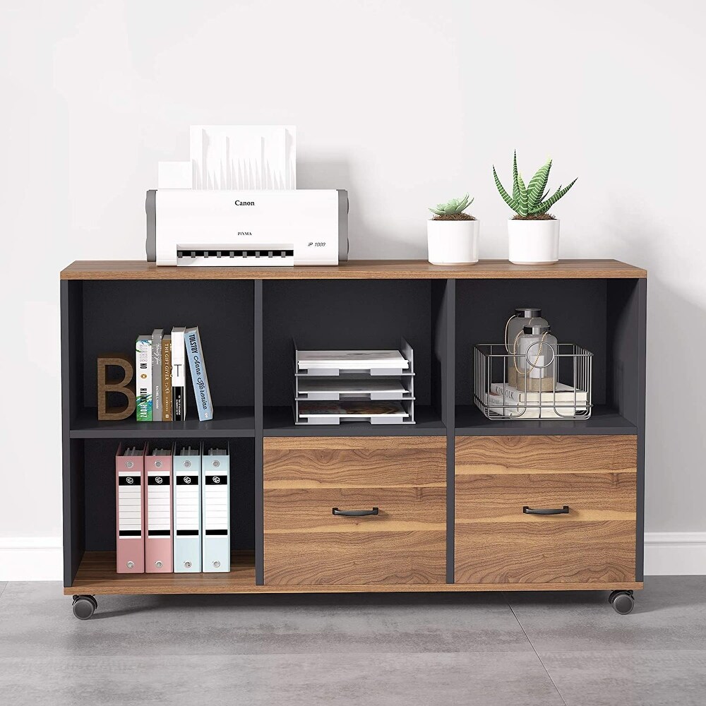 Lateral File Cabinets with 2 Drawers and Storage Shelves  Mobile Printer Stand Filling Cabinet for Home Office  Letter Size