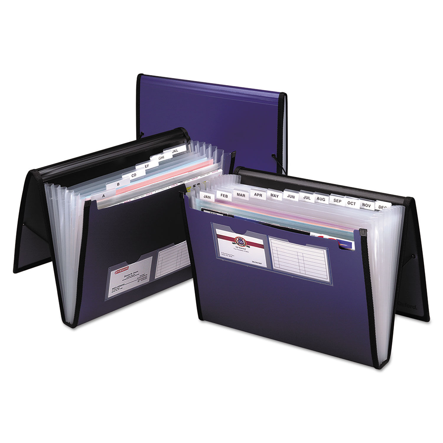 Professional Expanding Organizer by Pendaflexandreg; PFX52670