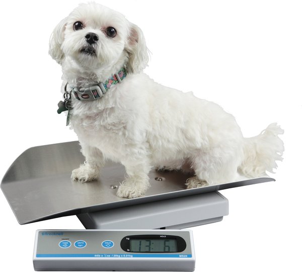 Brecknell MS20S Digital Pet Scale