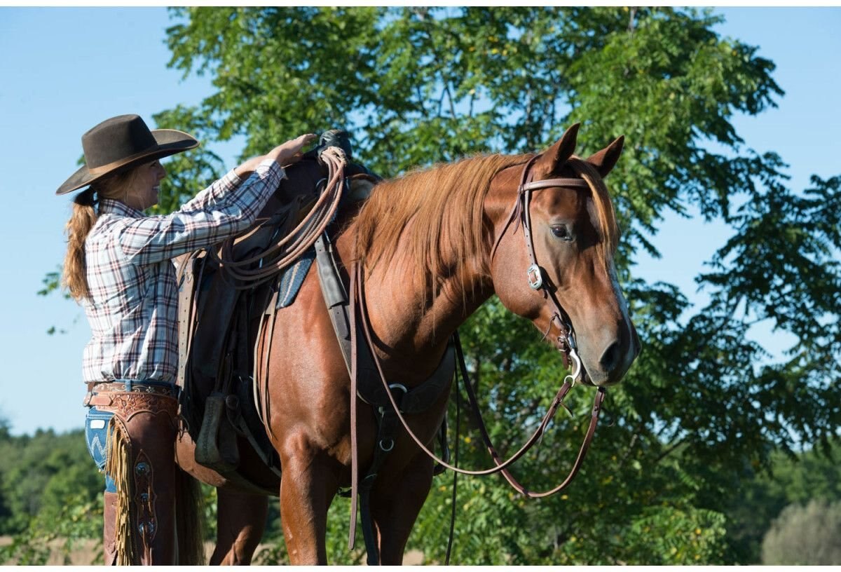 Weaver Leather Working Tack Pulling Horse Breast Collar