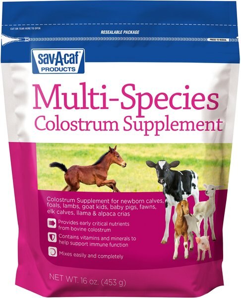 Sav-A-Caf Ultra Start Multi Species Colostrum Supplement