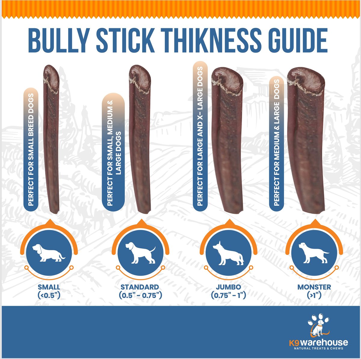 K9warehouse Jumbo 12-inch Bully Sticks Dog Treats