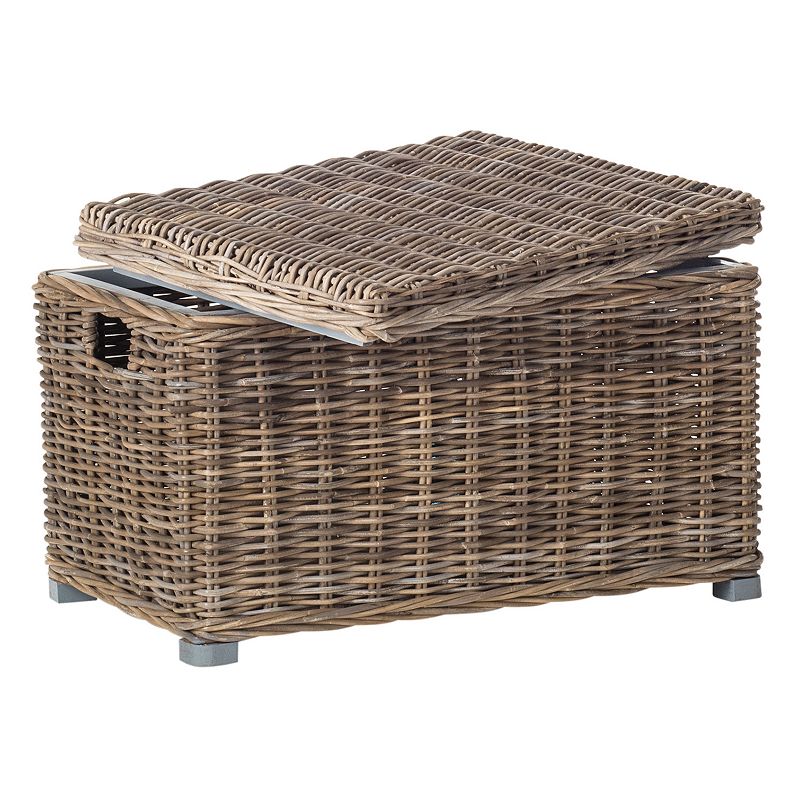 Safavieh Mikasi Wicker Trunk