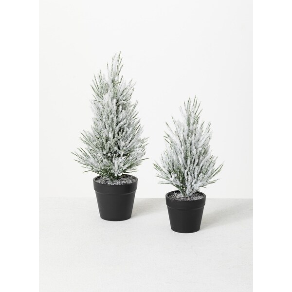 Sullivans Flocked Pine Artificial Tree Set of 2，11H and 9H Green