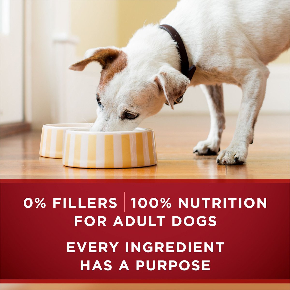 Purina ONE SmartBlend True Instinct Tender Cuts in Gravy with Real Chicken and Duck Canned Dog Food