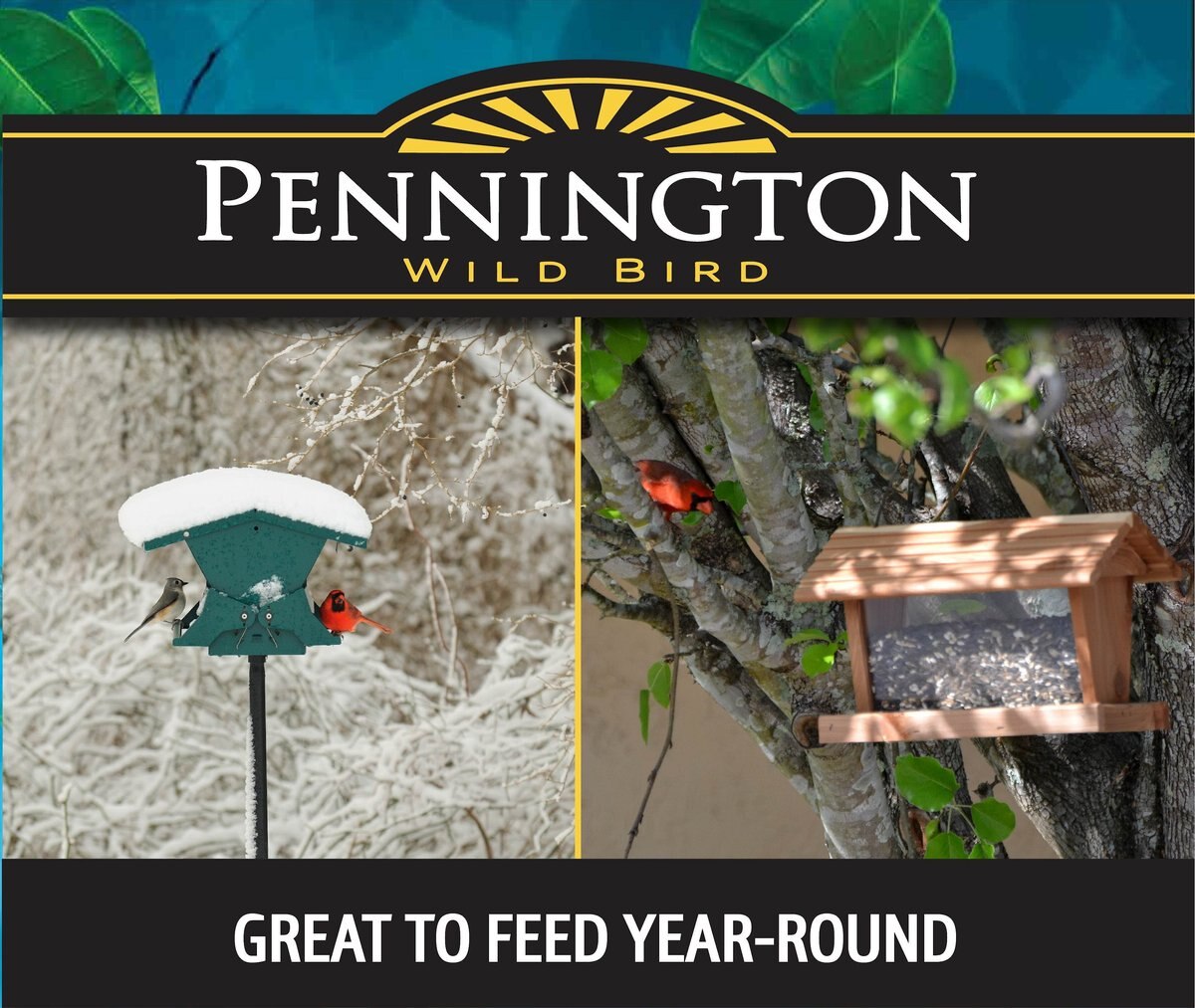 Pennington Premium Select Blend Bird Food