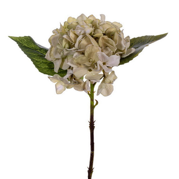 Vickerman FM229713 13 White Dried Hydrangea Pick ...