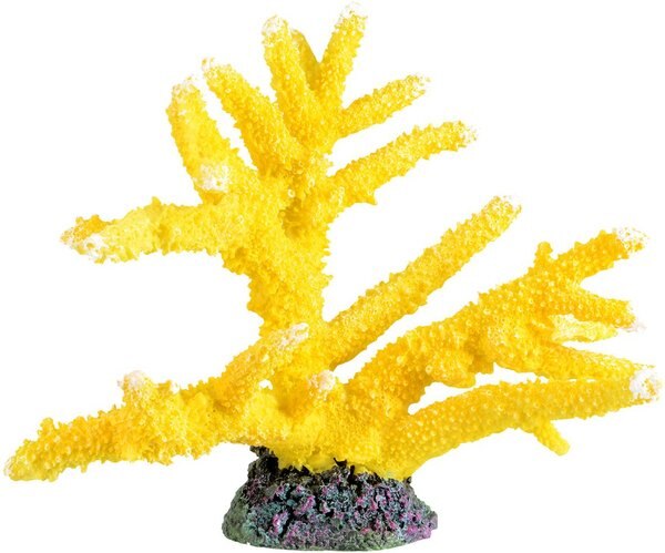 Underwater Treasures Branch Coral Sun Fish Ornament