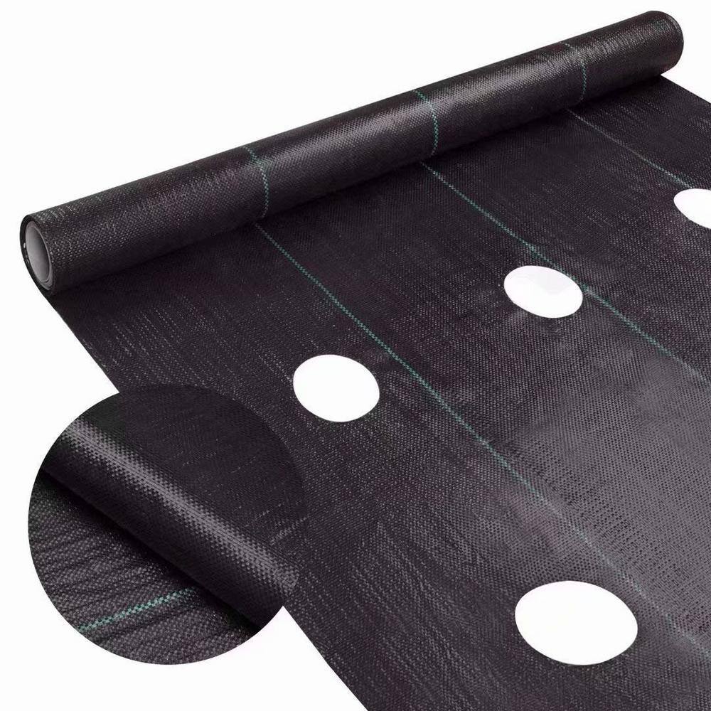 Agfabric 4 ft. x 12 ft. Eco-Friendly Weed Control Fabric Planting Holes for Vegetable Garden Landscape with 6 in. Dia GC300412H4R1