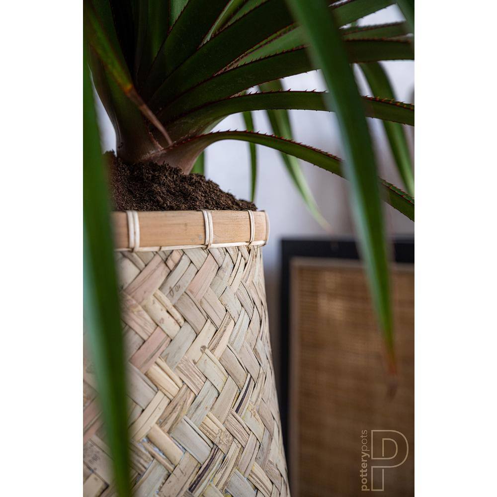 PotteryPots Nala Medium 14.6 in. Bamboo IndoorOutdoor Square Planter T4105-28-BB