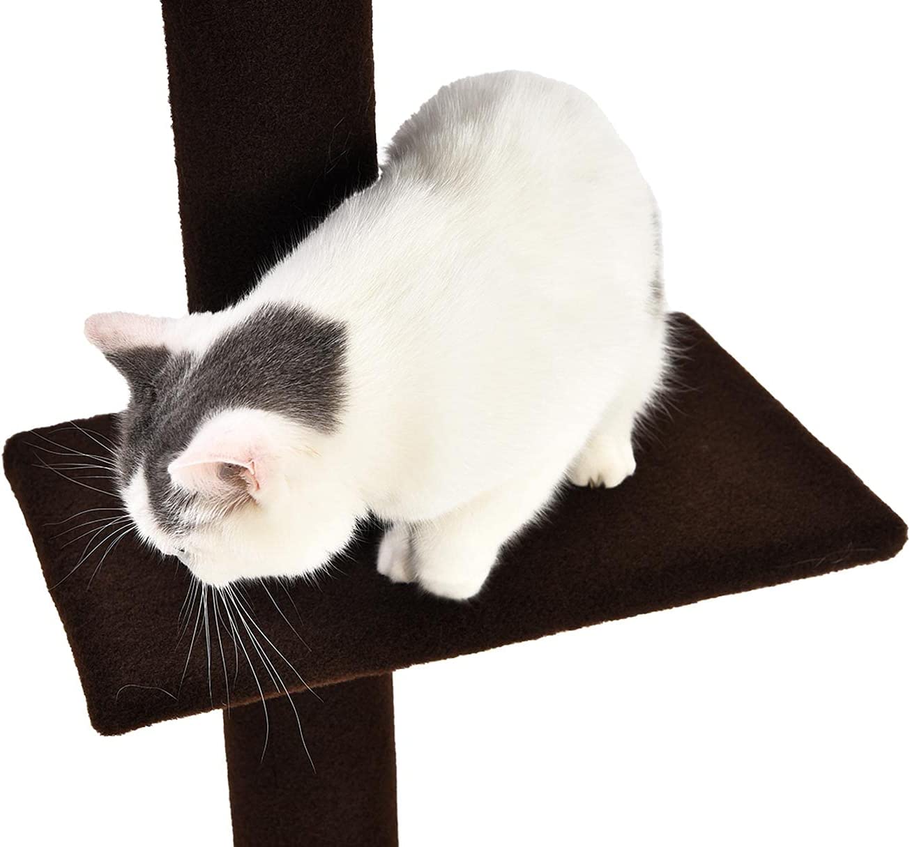 Cat Craft Floor-to-Ceiling Carpet Cat Tree