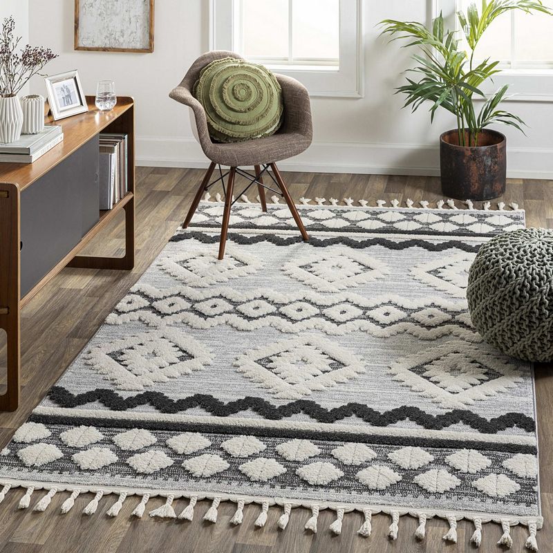 Kampia Rustic Area Rug