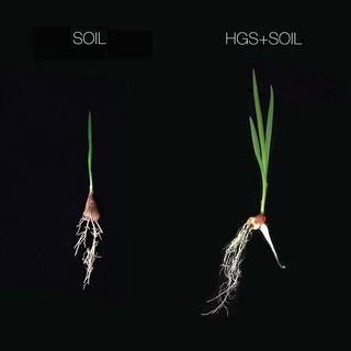 HARVEST GOLD ORGANICS Organic Soil Amendment 1482805