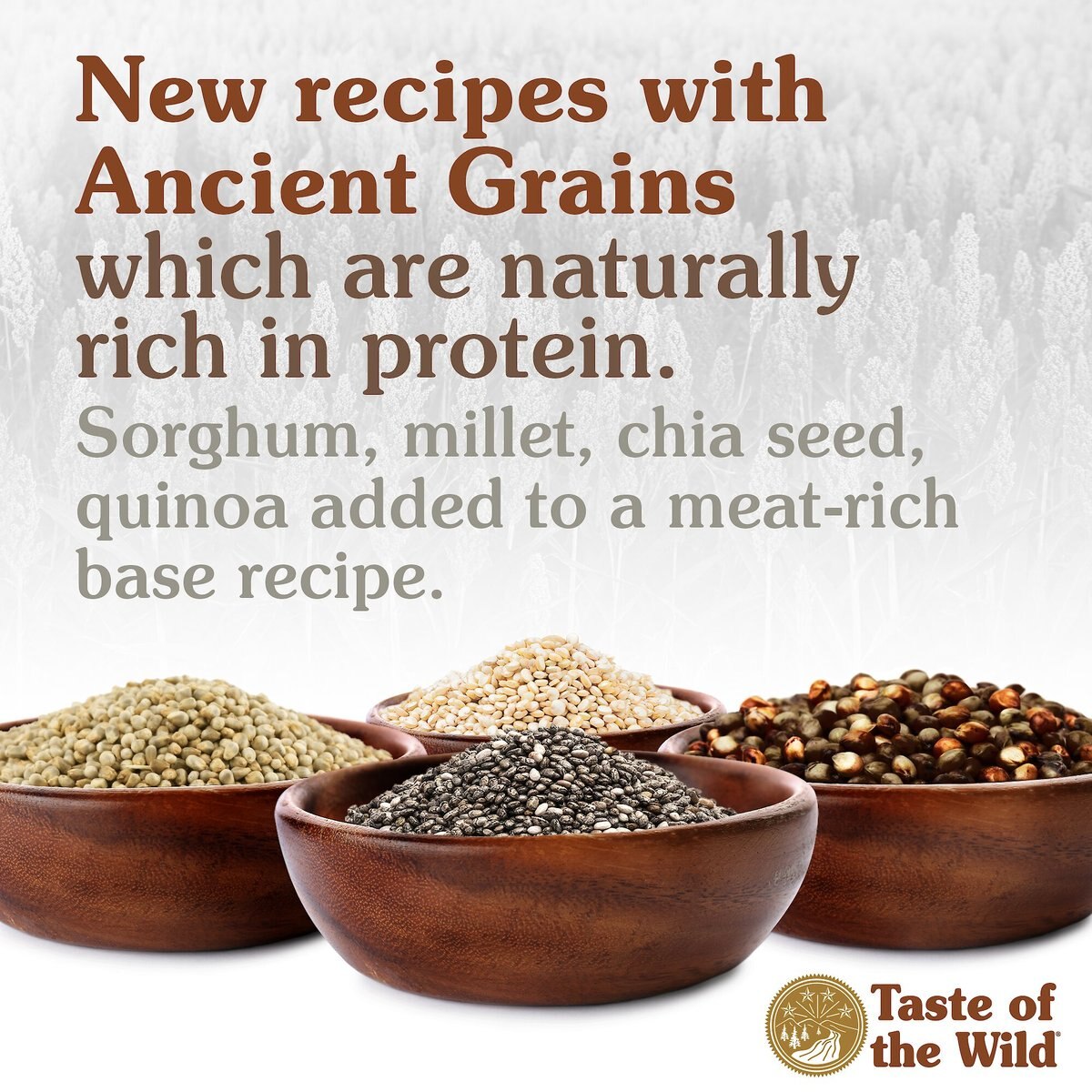 Taste of the Wild Ancient Mountain with Ancient Grains Dry Dog Food