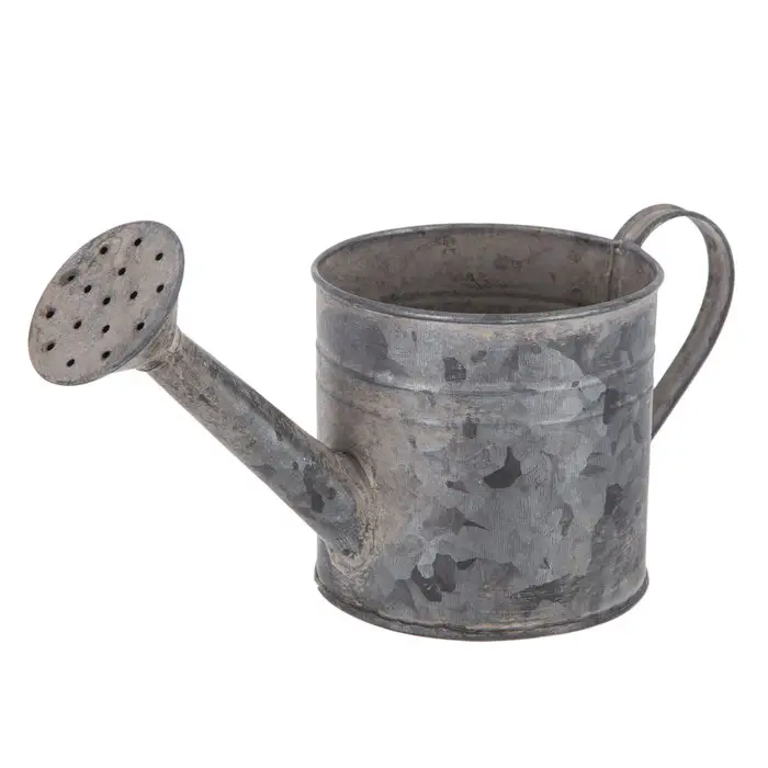 Cute Design Handmade Metal Watering Can Wholesale Manufacturer New Design Home Decoration Watering Can