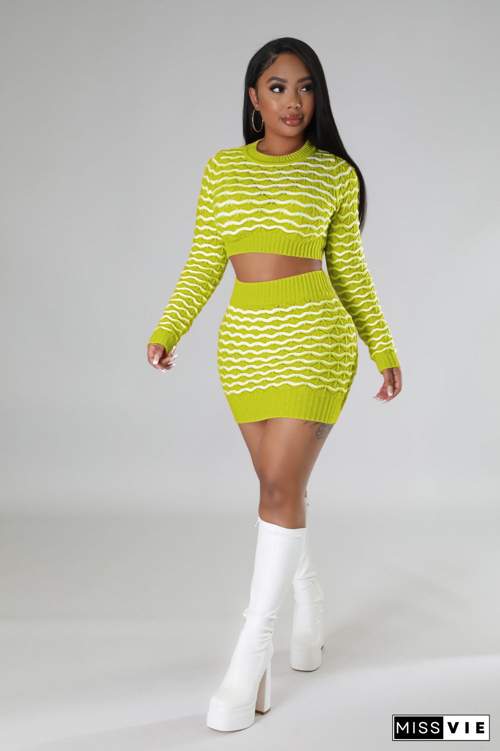 Knitted Sweaters Crop Top and Mini Skirt 2 Piece Set