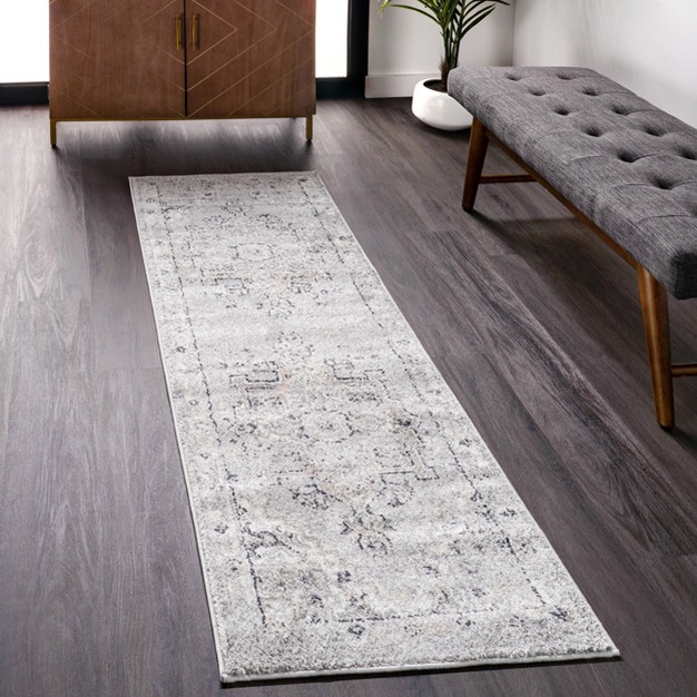 Nuloom Gena Distressed Transitional Vintage Medallion Area Rug For Living Room Bedroom Dining Room Kitchen