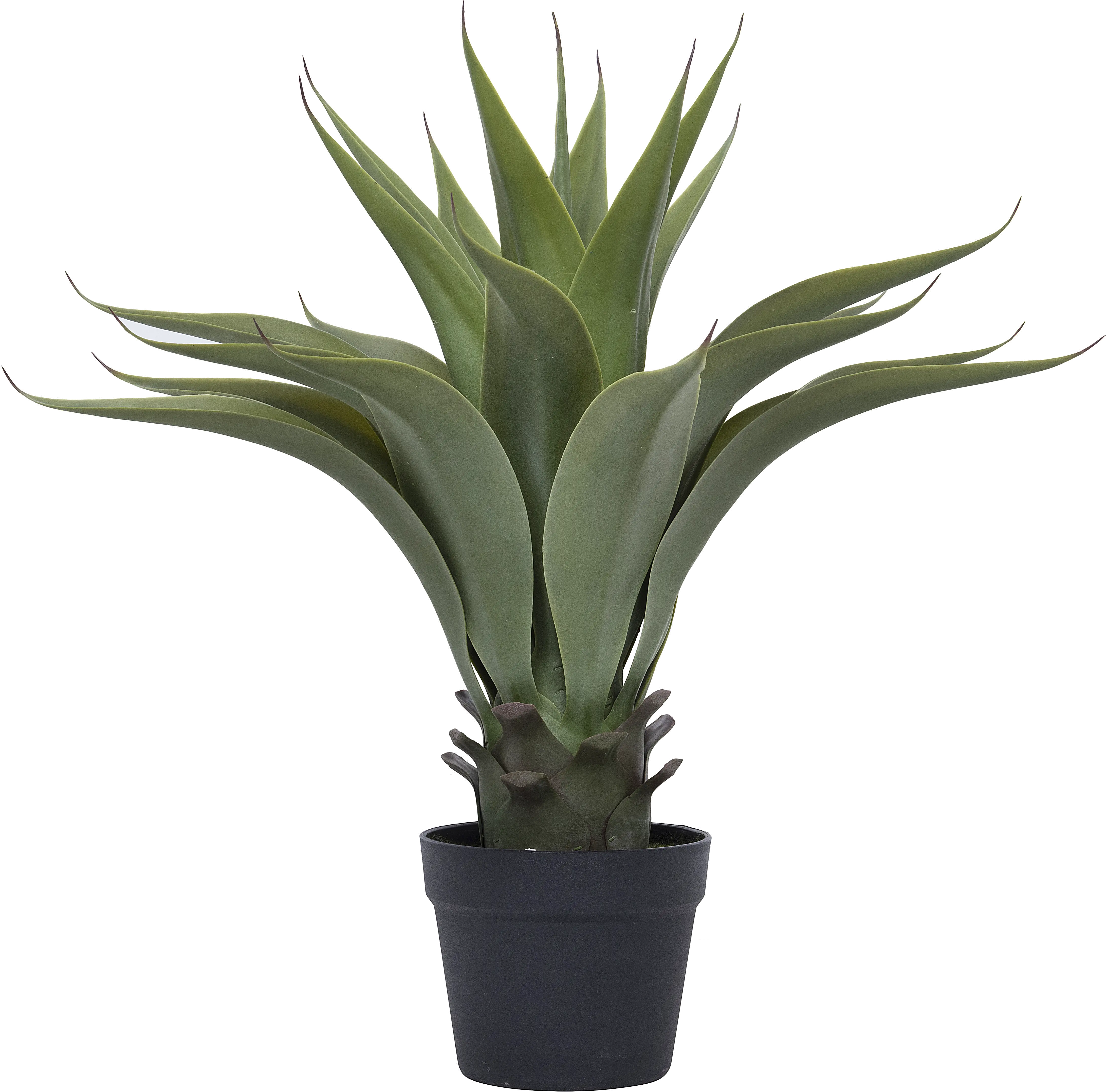 Faux Agave Plant Arrangement in Pot