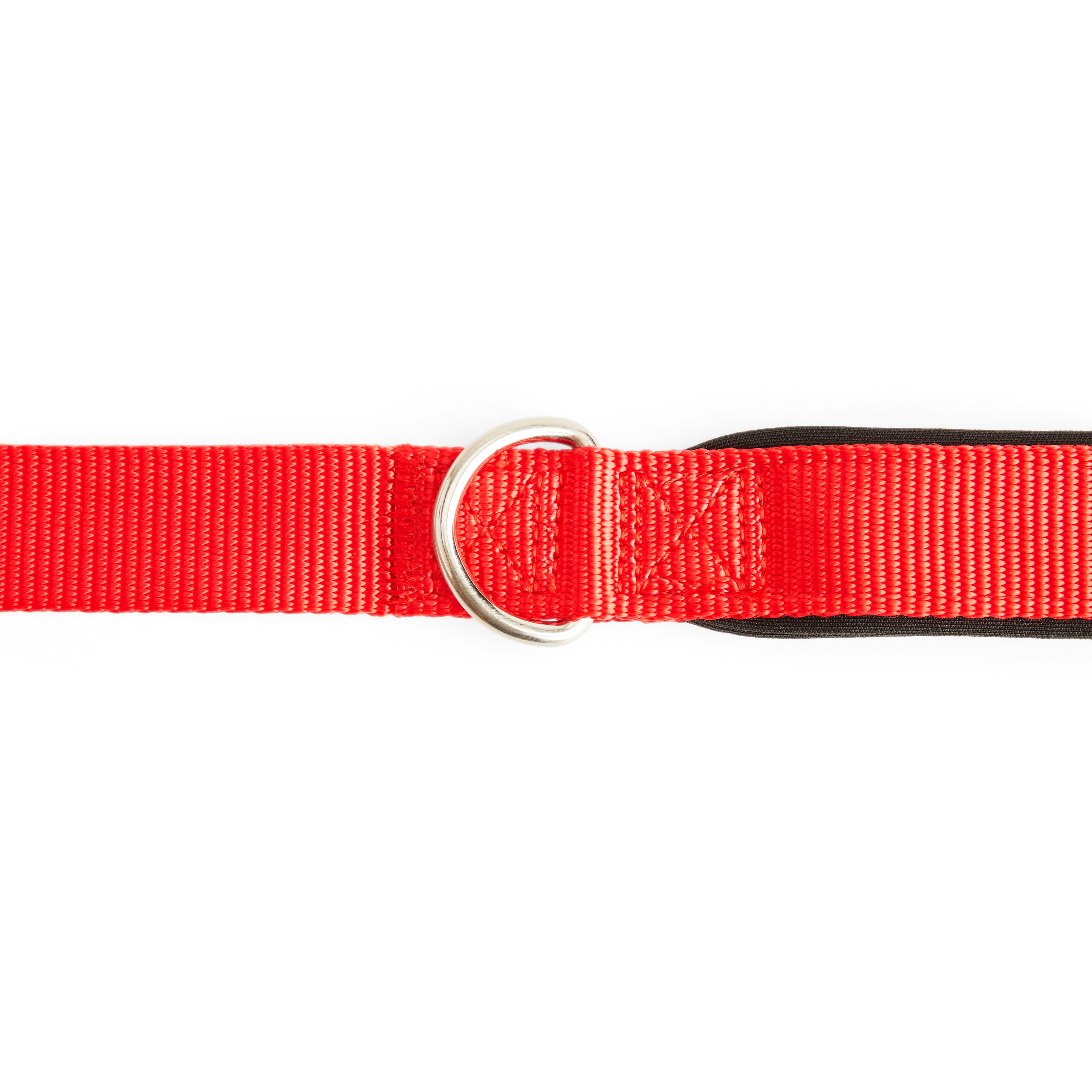 YOULY Red Shock Absorbing Dog Leash， 5 ft.