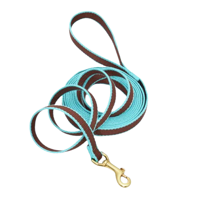 Training Leash | Brown & Aqua