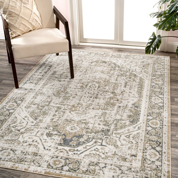 Jonathan Y Keesha Bold Distressed Medallion Low pile Machine washable Indoor Area Rug