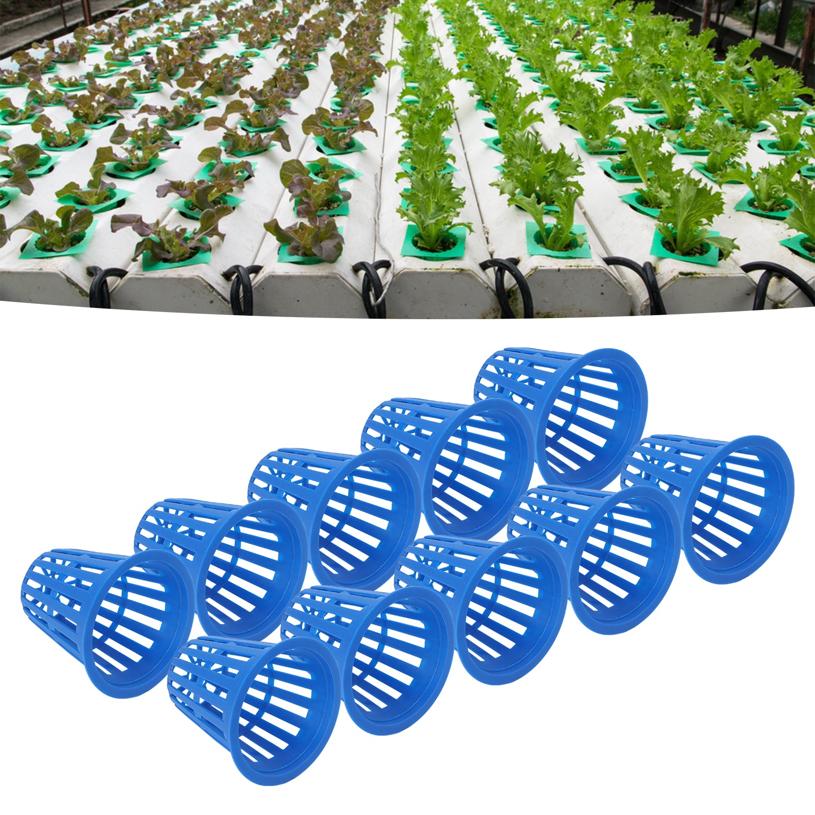 Planting Basket， Durable 10PCS Plastic Plant Mesh Cup Multipurpose  For Hydroponic For Garden Blue