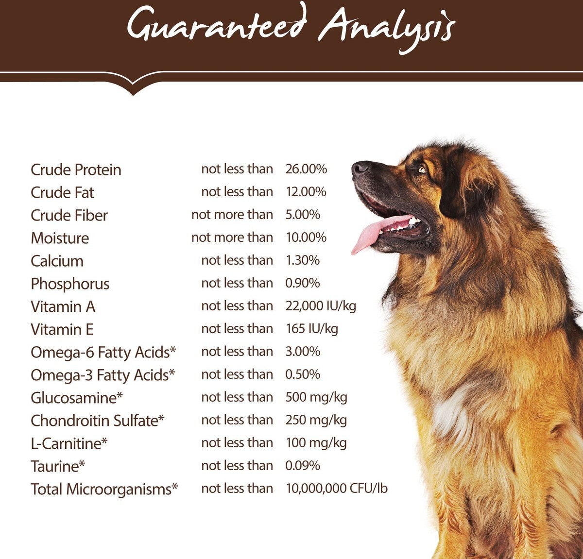 Holistic Select Large and Giant Breed Chicken Meal and Lentils Natural Grain-Free Dry Dog Food