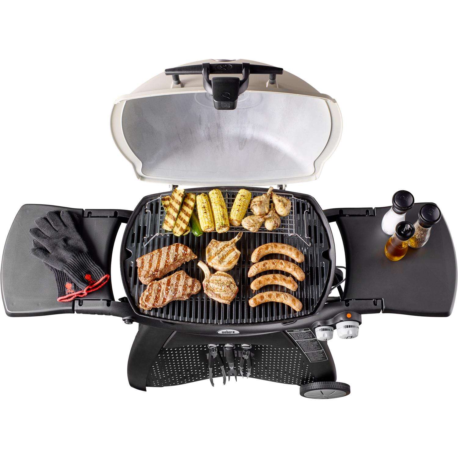 Weber Q3200 2 Burner Liquid Propane Grill Titanium