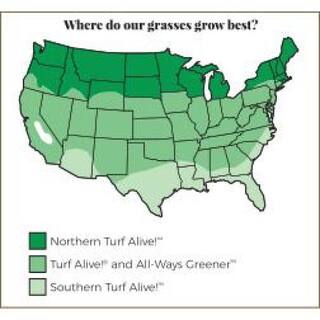 Gardens Alive! 4 lbs. Northern Turf Alive! Grass Seed Mixture 8844