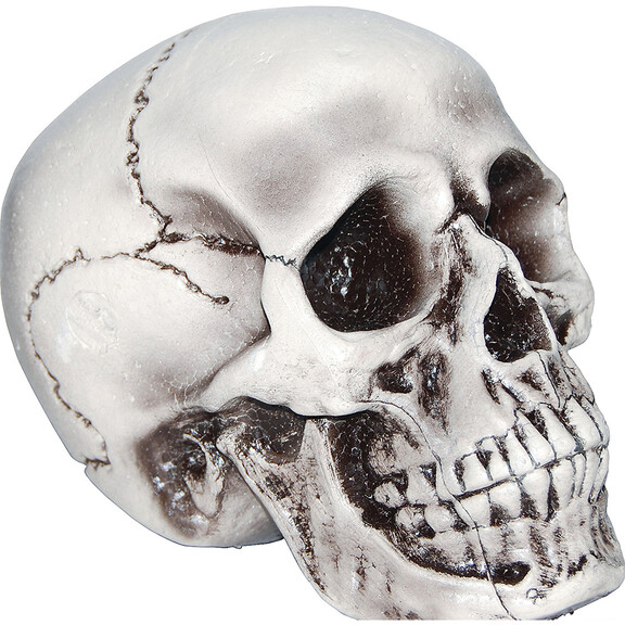 Sunstar SS83124 Beige Skull Halloween Decoration