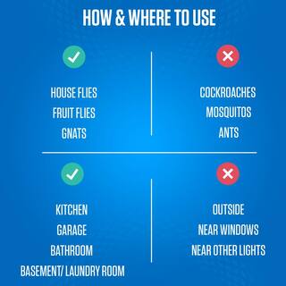 ZEVO Indoor Flying Insect Trap for Fruit flies Gnats and House Flies (1 Plug-In Base + 1 Refill Cartridge) 83535451