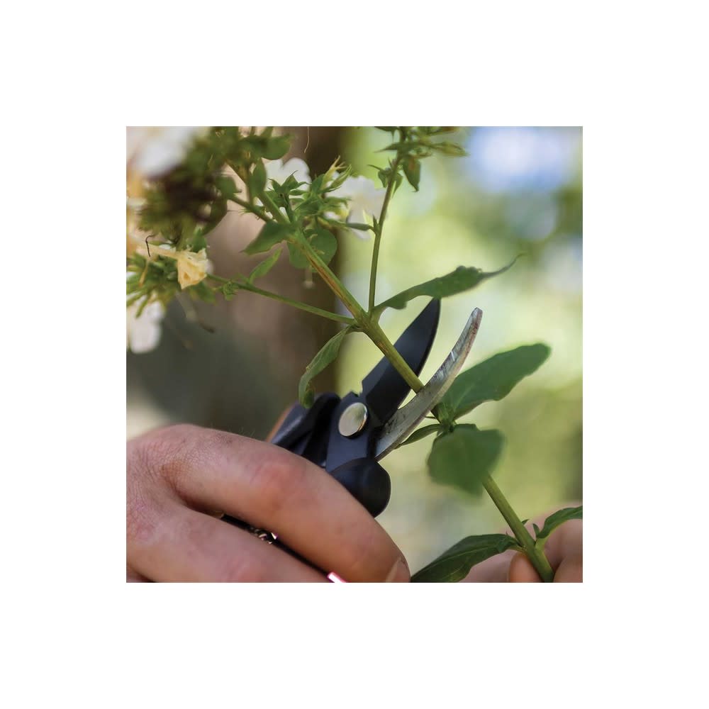 Fiskars Steel Blade Floral Bypass Pruner with Softgrip Handle