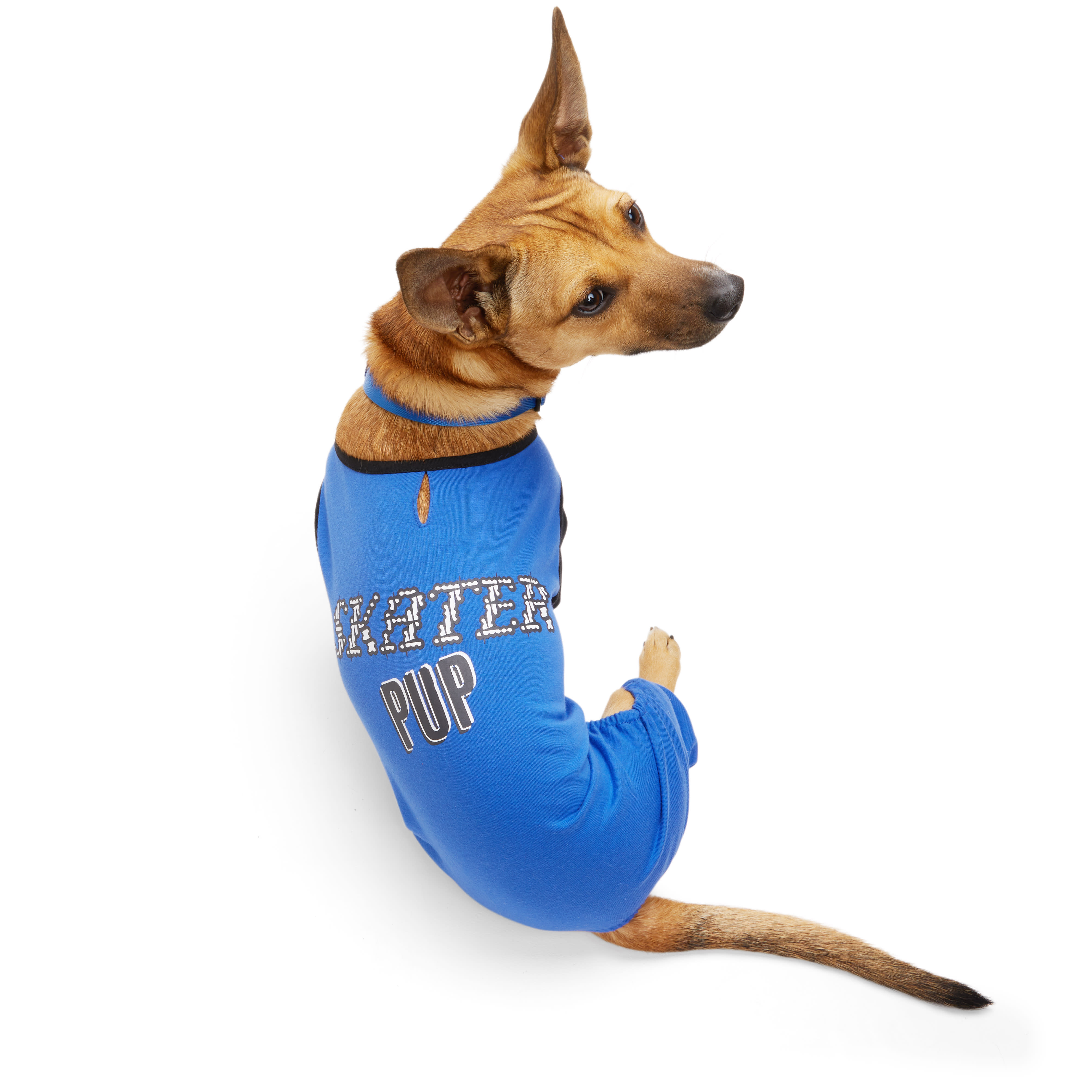 YOULY Skater Pup Pet Pajamas， XX-Small