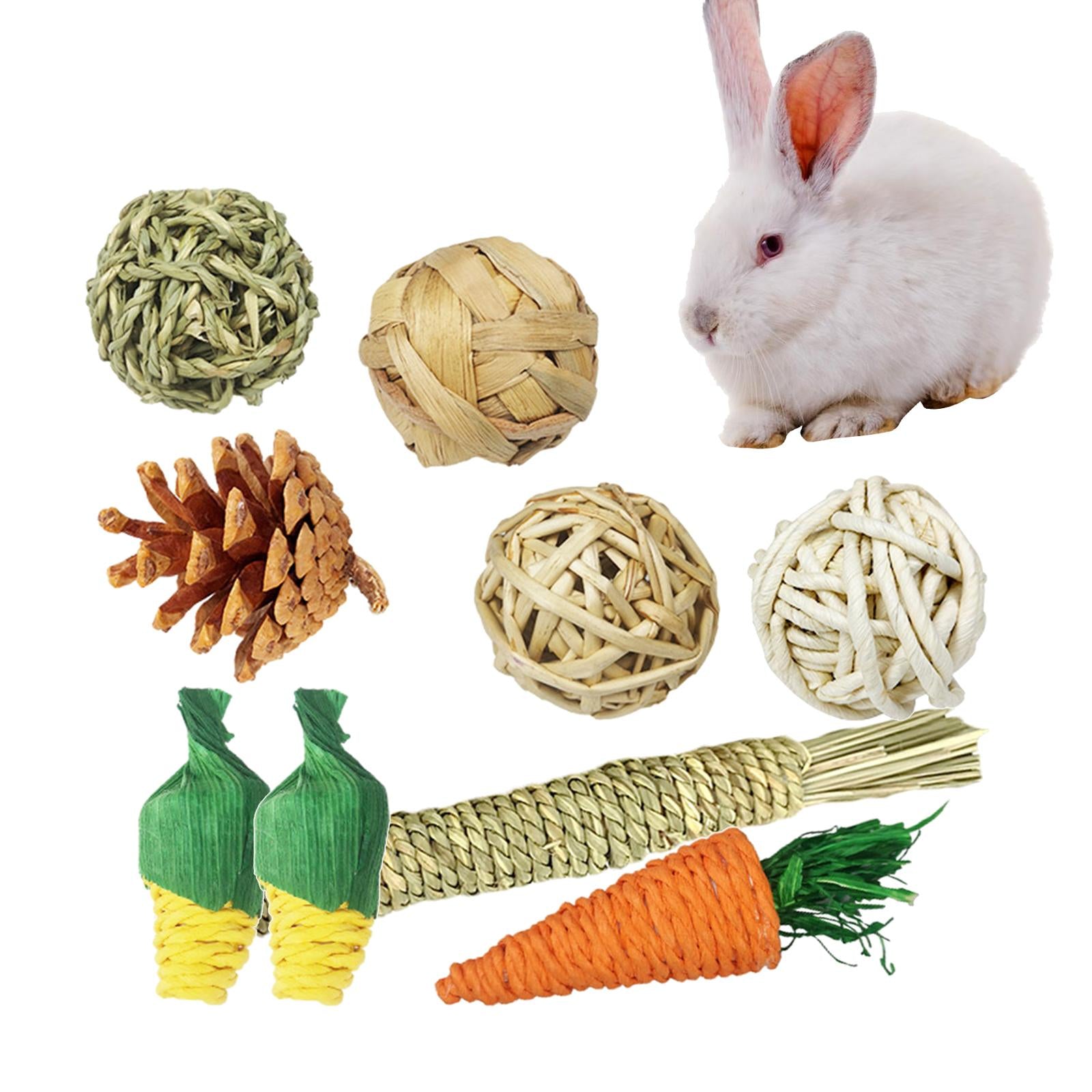 9PCS Guinea Toys， Hamster Chew Toys Rats Chinchillas Toys Accessories Safe Material Exercise Care Molar Toy for Bunny Rabbits Gerbils