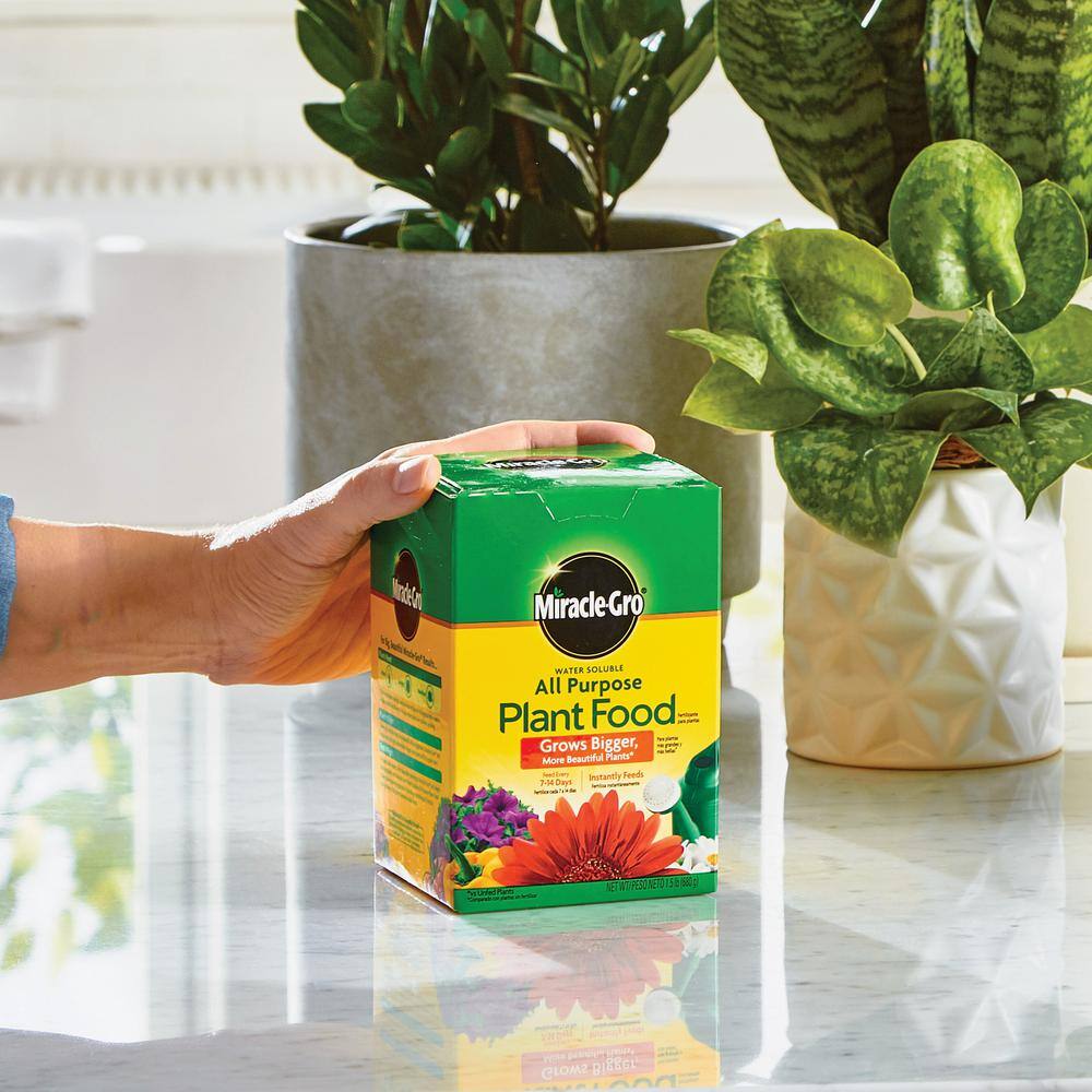 Miracle-Gro 1.5 lbs. Water Soluble All Purpose Plant Food (2-Pack) VB21058