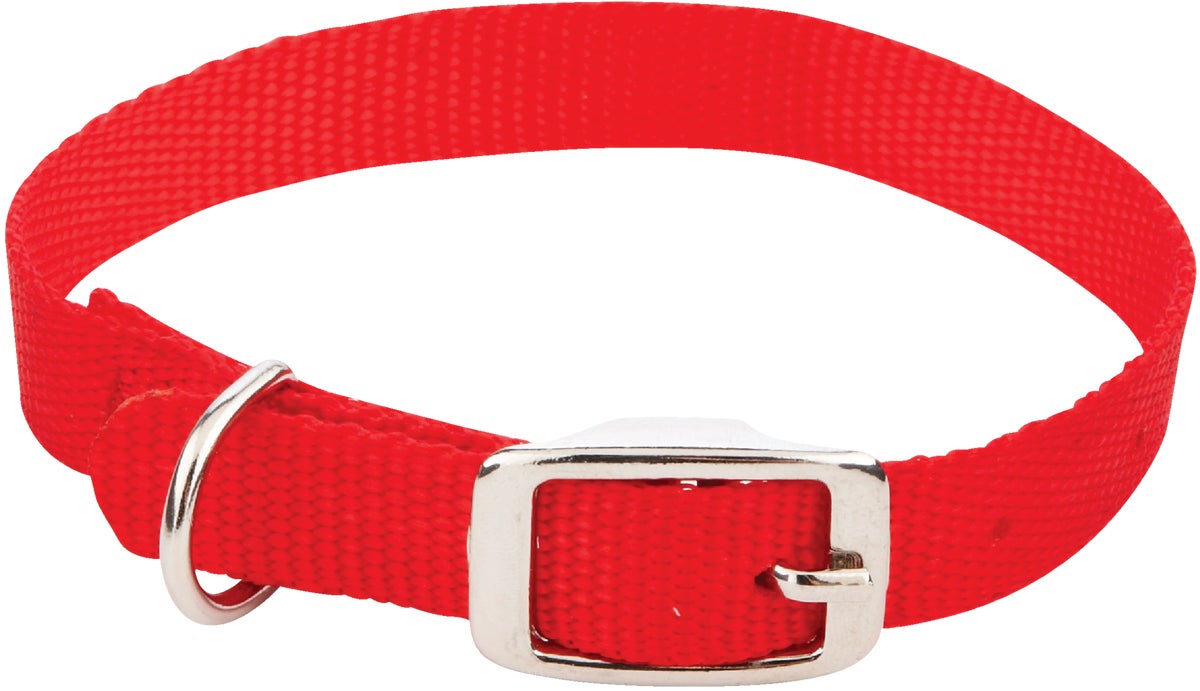 Westminster Pet Ruffinand#039 it Nylon Dog Collar Black Red Blue