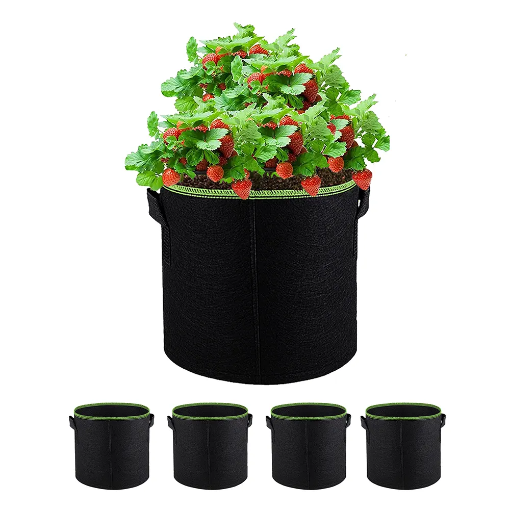 Factory supply customized strawberry fabric grow bag tomato planter fabric pot